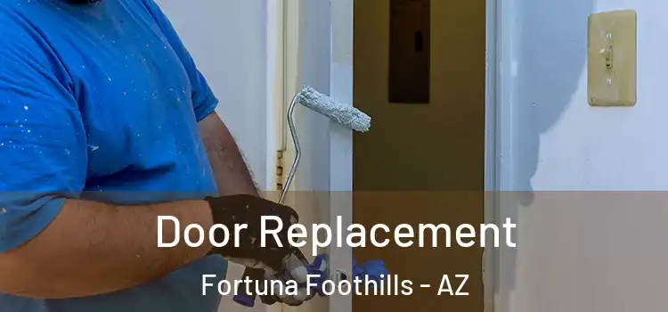 Door Replacement Fortuna Foothills - AZ