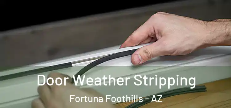  Door Weather Stripping Fortuna Foothills - AZ