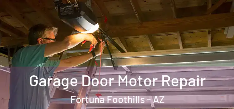  Garage Door Motor Repair Fortuna Foothills - AZ