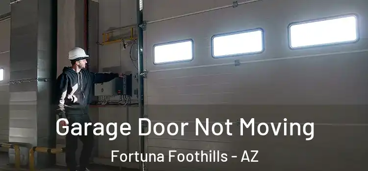  Garage Door Not Moving Fortuna Foothills - AZ