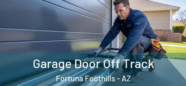  Garage Door Off Track Fortuna Foothills - AZ