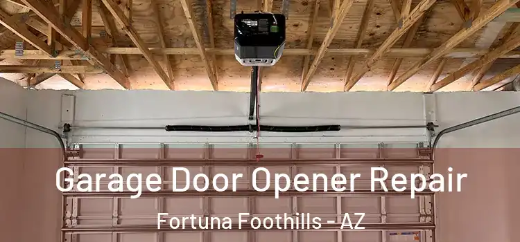  Garage Door Opener Repair Fortuna Foothills - AZ