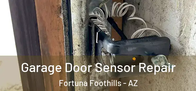Garage Door Sensor Repair Fortuna Foothills - AZ