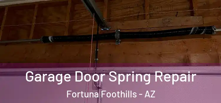  Garage Door Spring Repair Fortuna Foothills - AZ