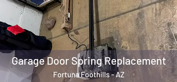  Garage Door Spring Replacement Fortuna Foothills - AZ