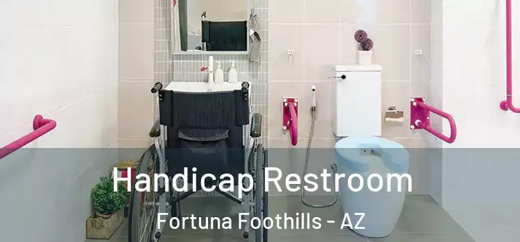 Handicap Restroom Fortuna Foothills - AZ