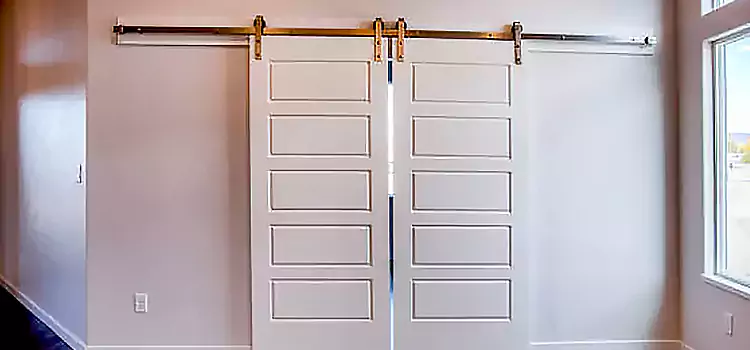 Glass Barn Door with Installation Hardware Kit Fortuna Foothills