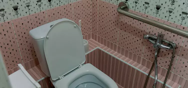 Meeting Diverse Needs With Accessible Restroom Solutions in Fortuna Foothills, AZ