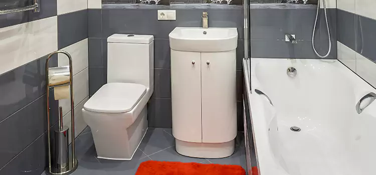 Hansgrohe Shaving Mirror Fortuna Foothills