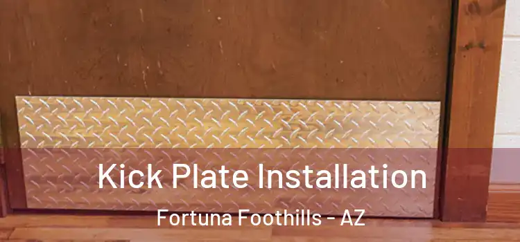 Kick Plate Installation Fortuna Foothills - AZ