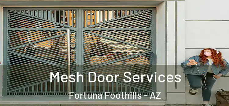 Mesh Door Services Fortuna Foothills - AZ