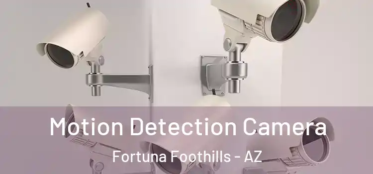 Motion Detection Camera Fortuna Foothills - AZ