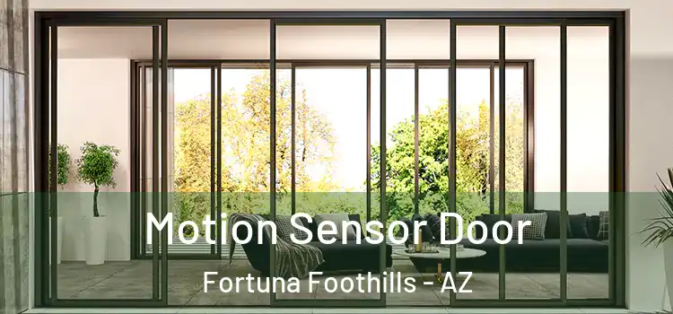 Motion Sensor Door Fortuna Foothills - AZ